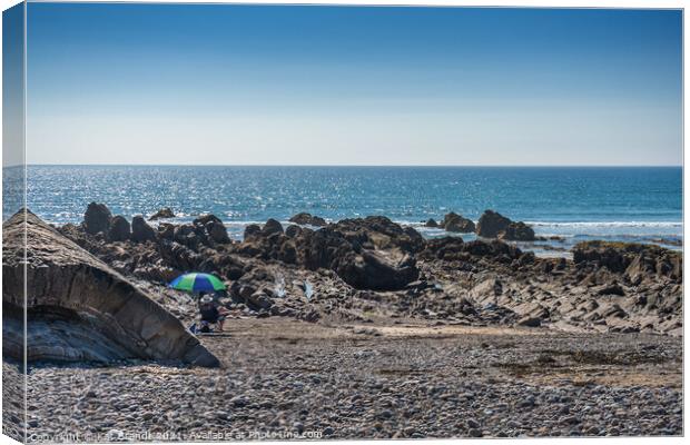 Bude Formation  Canvas Print by KB Photo