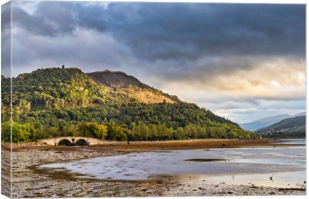 Inverary Bridge Canvas Print by Rich Dyson