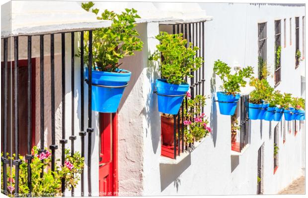 Blue plant pots against whitewashed walls,  Canvas Print by Kevin Hellon