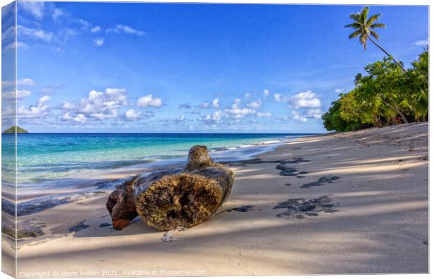 Log on beach, Dravuni Island, Fiji, South Pacific Canvas Print by Kevin Hellon