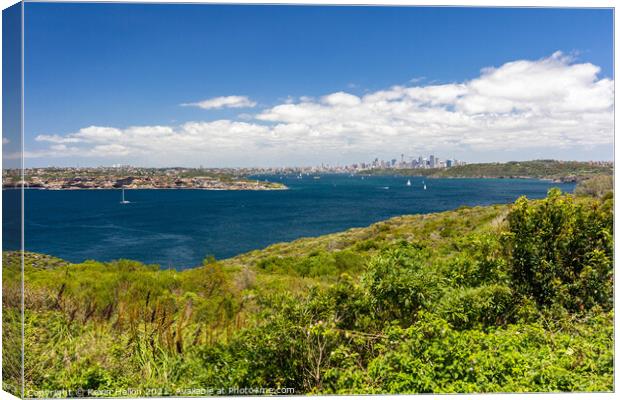 View over Sydney Harbor  Canvas Print by Kevin Hellon