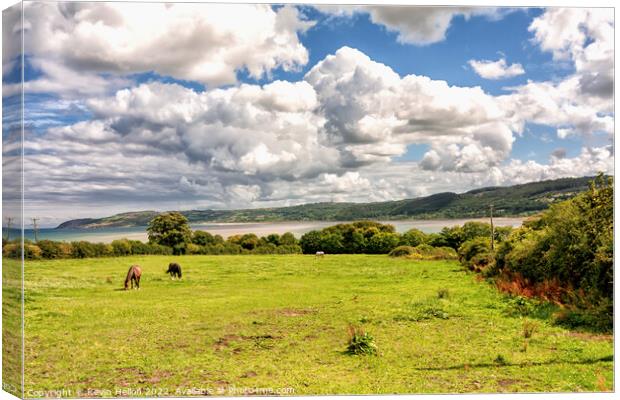 Horses in a field overlooking Red Wharf Bay Canvas Print by Kevin Hellon