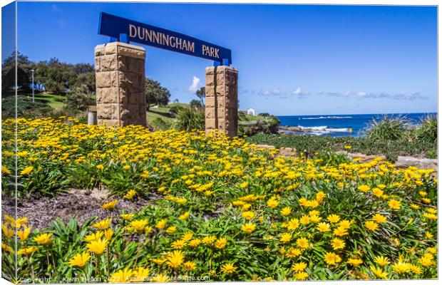 Yellow daisy flowers, Dunningham Park, Coogee Beach, Canvas Print by Kevin Hellon