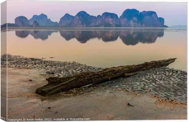 Driftwood on the beach at dawn,  Canvas Print by Kevin Hellon