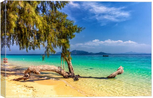 Beach on Koh Kradan, Canvas Print by Kevin Hellon