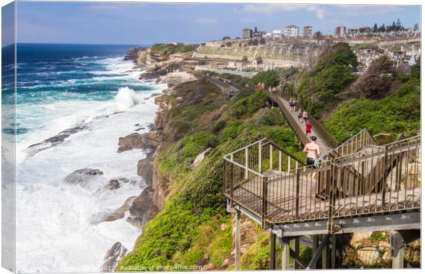 The Bondi to Coogee coastal walk with rough seas and Waverley ce Canvas Print by Kevin Hellon