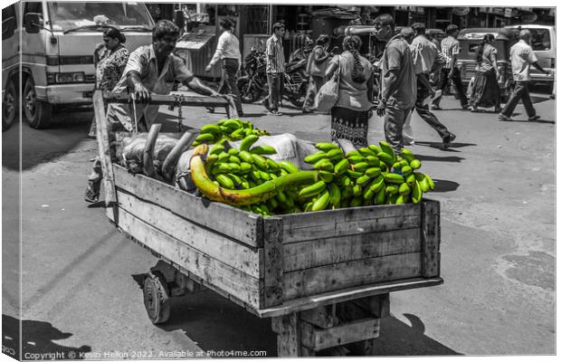 Man pushing crt of bananas in Colombo, Sri Lanka Canvas Print by Kevin Hellon