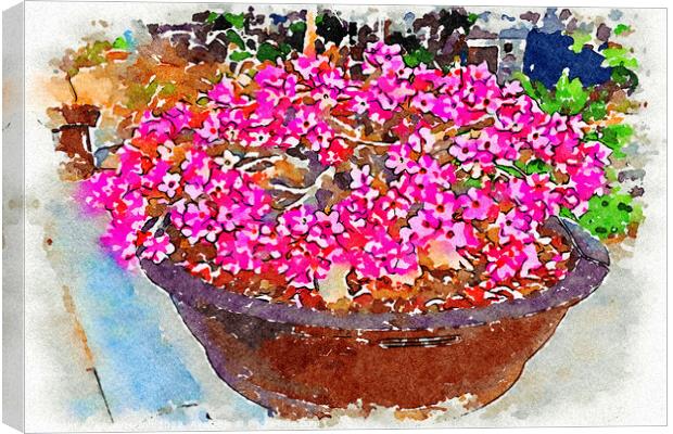 Bowl of pink Adenium flowers - Digital watercolour Canvas Print by Kevin Hellon
