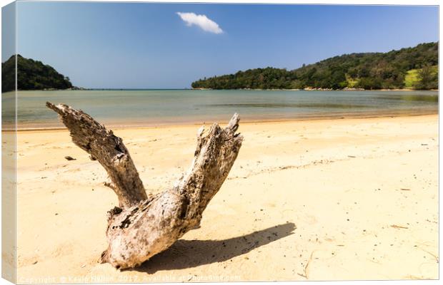 Driftwood on the whote sand beach at Layan, Bang T Canvas Print by Kevin Hellon
