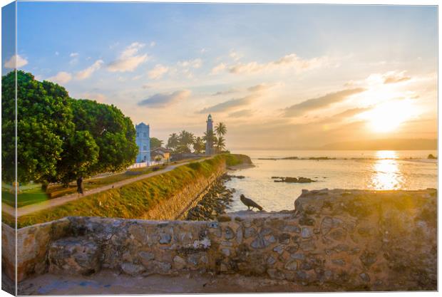 Bird on wall with Galle Fort lighthouse Canvas Print by Kevin Hellon