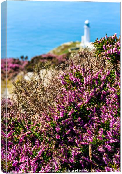 Purple heather with North Stack lighthouse Canvas Print by Kevin Hellon