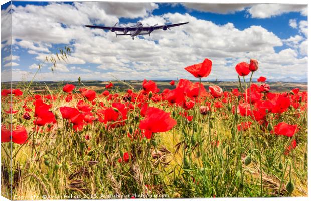 Poppy field and clouds, Granada Province, Spain Canvas Print by Kevin Hellon