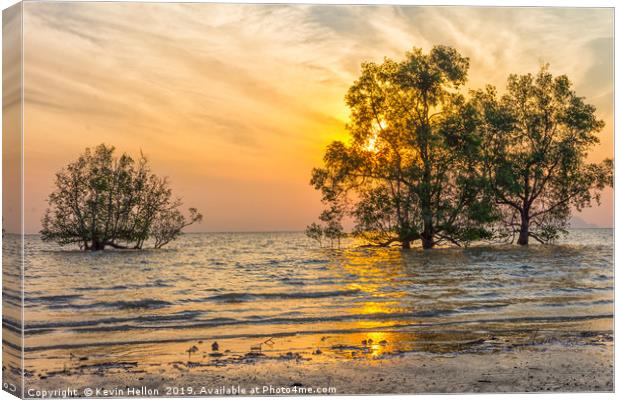 Sunrise over mangrove trees Canvas Print by Kevin Hellon