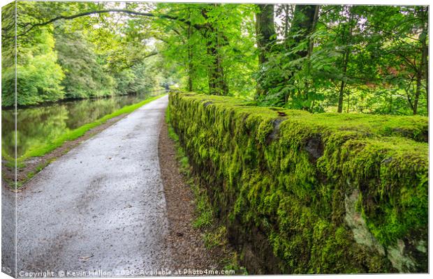 Towpath and green moss growing on stone wall Canvas Print by Kevin Hellon
