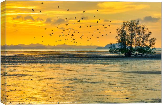 Birds at sunrise Canvas Print by Kevin Hellon