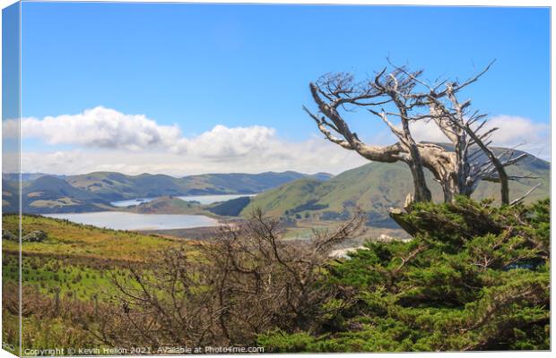 Landscape of  Otago Peninsular Canvas Print by Kevin Hellon