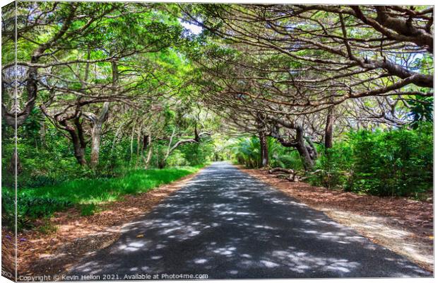 Tree lined road in Iles des Pines Canvas Print by Kevin Hellon