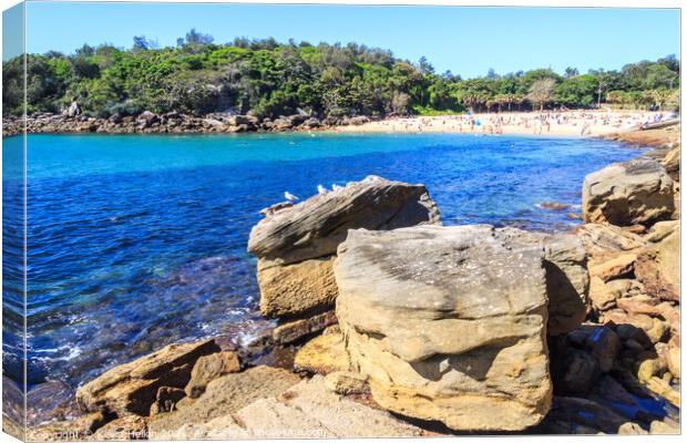 View over the rocks in Manly Canvas Print by Kevin Hellon