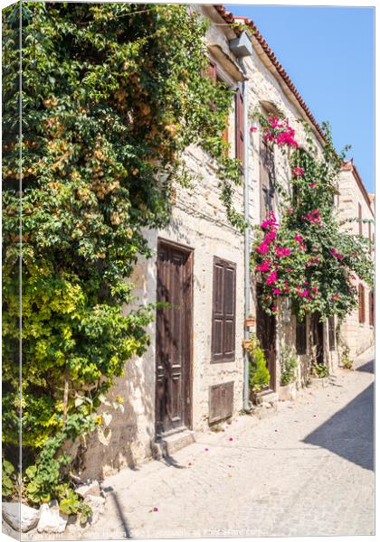 Stone houses covered with bougainvillaea, Canvas Print by Kevin Hellon