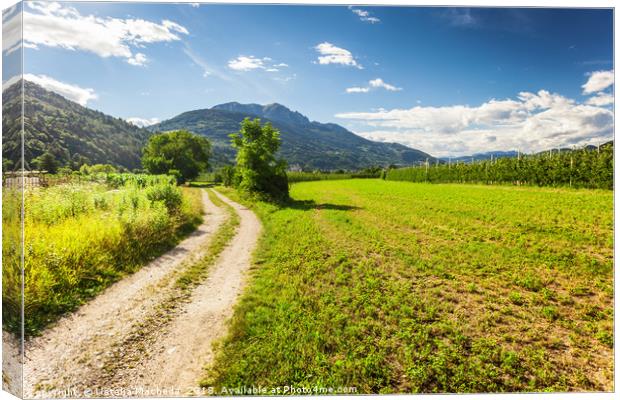 Rural road in Trento among Alps Canvas Print by Natalia Macheda