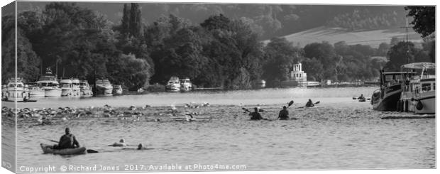 Thames Swim Canvas Print by Richard Jones