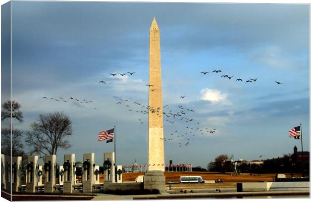 Washington Monument Canvas Print by Mike Lanning