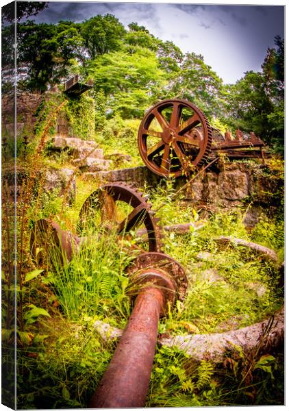 Luxulyan Valley Water Wheel ruins Canvas Print by Mike Lanning