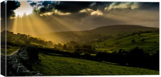Swaledale dawn Canvas Print by Mike Lanning
