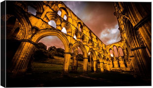 Rievaulx Abbey Canvas Print by Mike Lanning