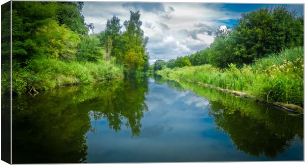 Reflections on the Kennet and Avon Canvas Print by Mike Lanning