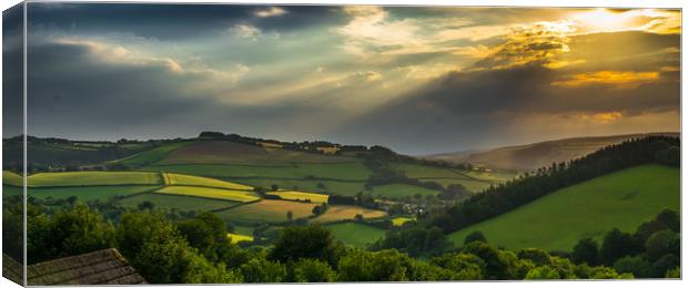 Sunlight on the Brendon Hills Canvas Print by Mike Lanning