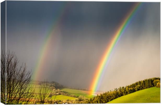 Double Rainbow Canvas Print by Mike Lanning