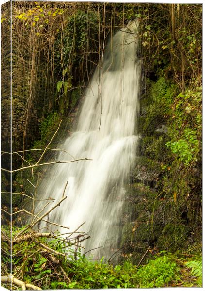 Water Fall at Luxulyan Valley Canvas Print by Bob Walker