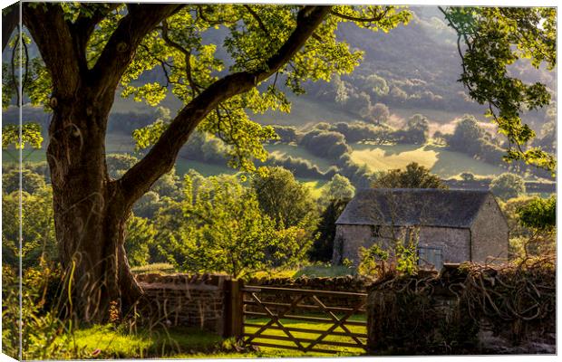 Llanthony Valley Canvas Print by Mal Spain