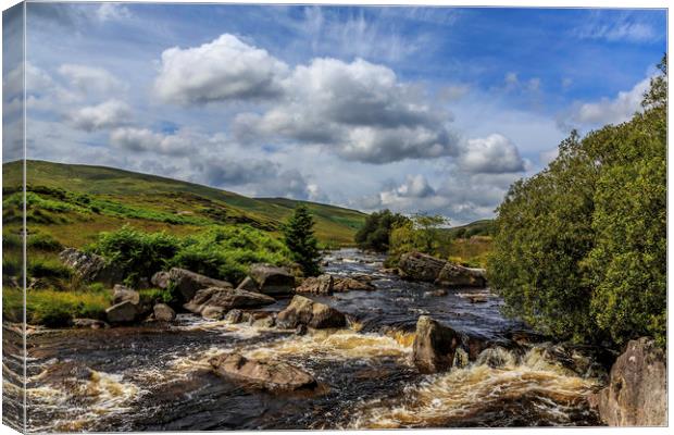 Elan Valley Canvas Print by Mal Spain