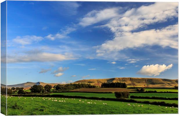 Brecon Beacons Canvas Print by Mal Spain