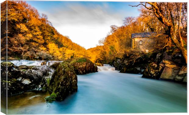 Cenarth Falls Canvas Print by Mal Spain