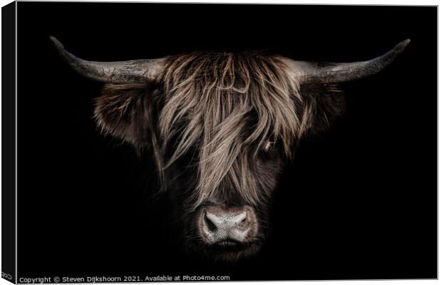 Highland cow close up Canvas Print by Steven Dijkshoorn