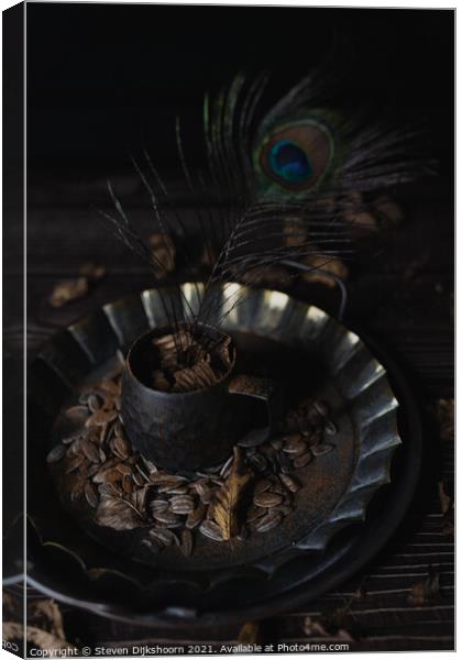 Still life pewter cup with a peacock feather Canvas Print by Steven Dijkshoorn