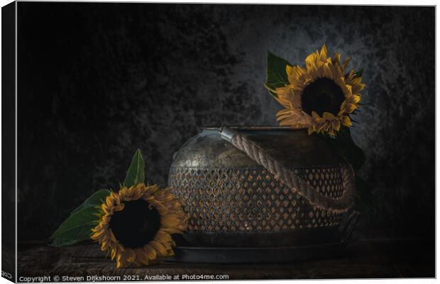 A close up of sunflowers as a still life Canvas Print by Steven Dijkshoorn