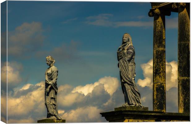 A watchful Eye Canvas Print by Darren Lowe