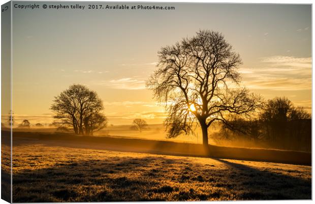 Frosty golden sunrise Canvas Print by stephen tolley