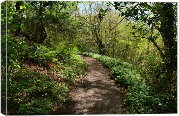 Wild Garlic lined path  Canvas Print by Lee Sulsh
