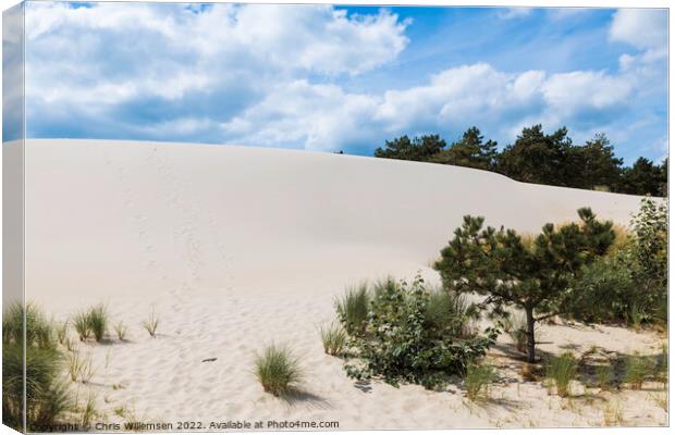 crystal white sand on the schoorl dunes in holland Canvas Print by Chris Willemsen