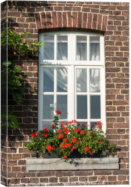 windo in old wall with french geranium flowers Canvas Print by Chris Willemsen
