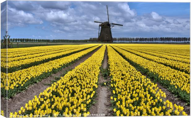 dutch windmill and tulip fields Canvas Print by Chris Willemsen