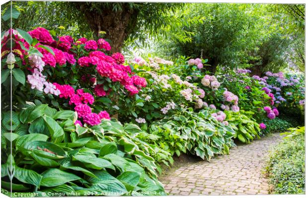 rhododendrons in english garden Canvas Print by Chris Willemsen