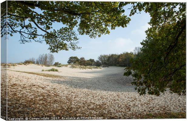 white sand surface in  dutch nature Canvas Print by Chris Willemsen