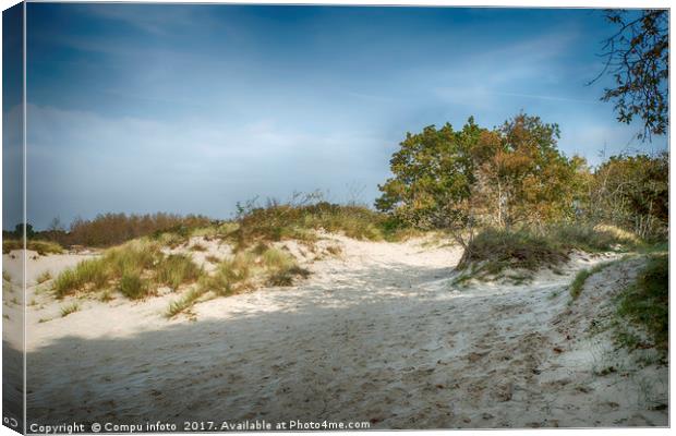 white sand surface in  dutch nature Canvas Print by Chris Willemsen
