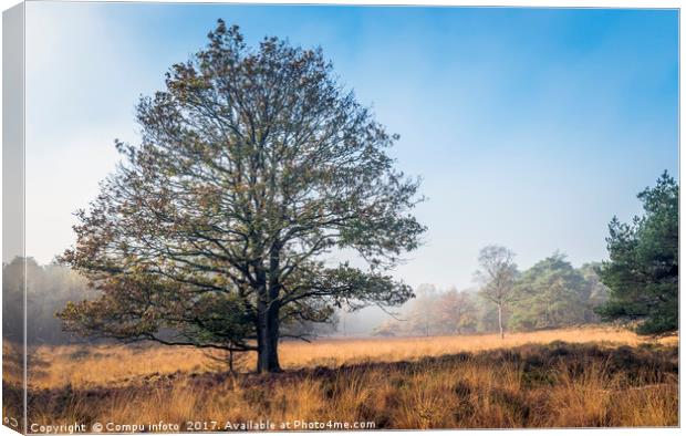 single tree in autumn landscape Canvas Print by Chris Willemsen